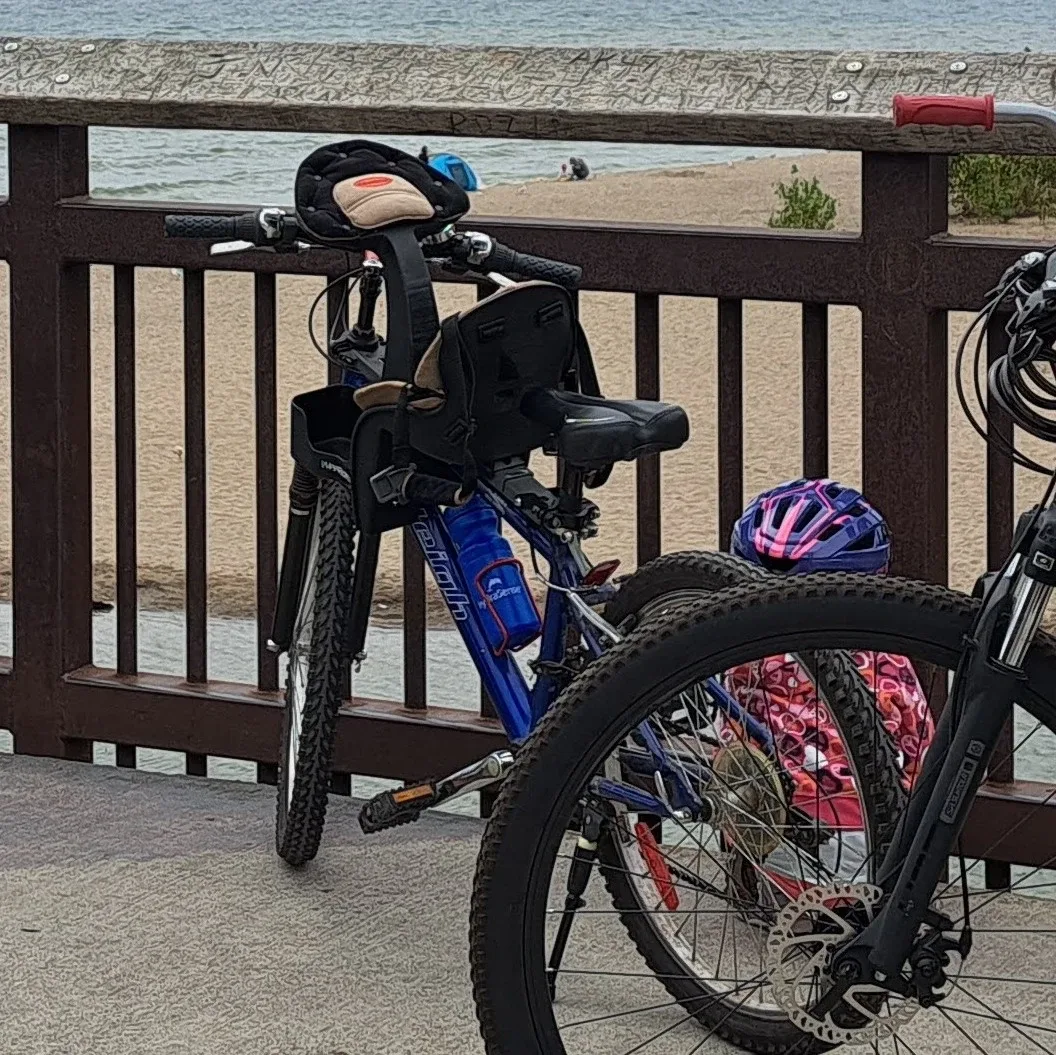 Kazam Kangaroo Child Bike Seat, 8 Months - 3 Years image indicator(8)