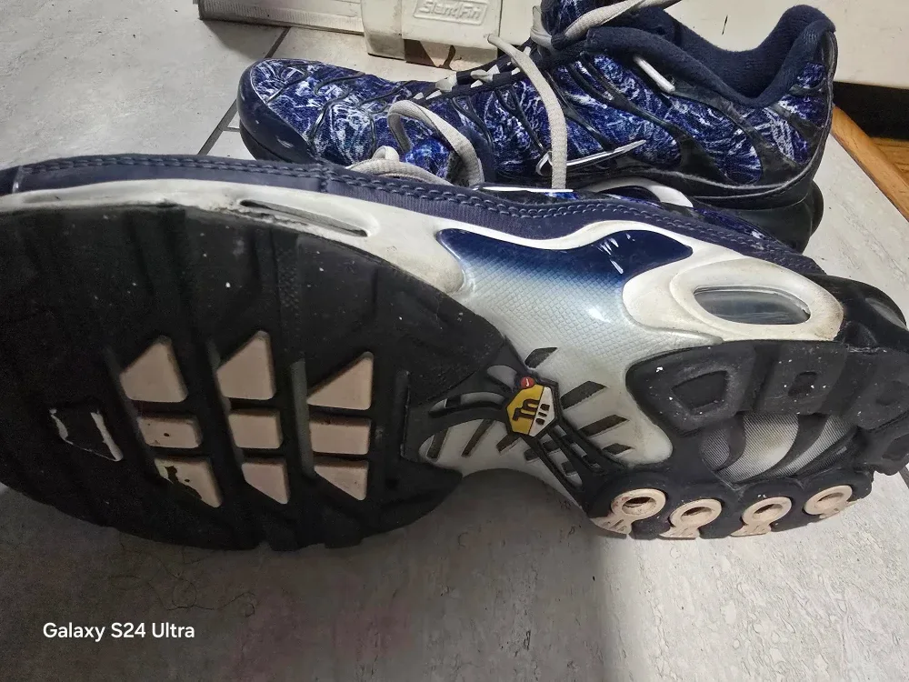 Nike Air Max Plus TN Shoes