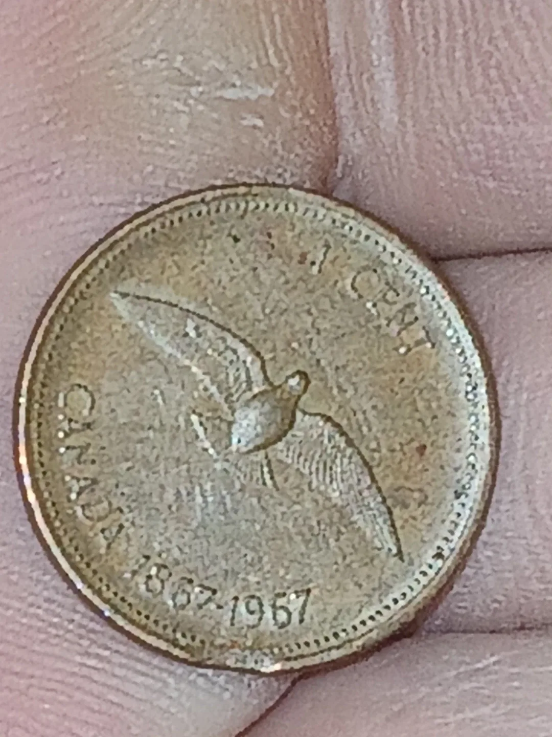 Canadian hustorical rare coin image indicator(2)