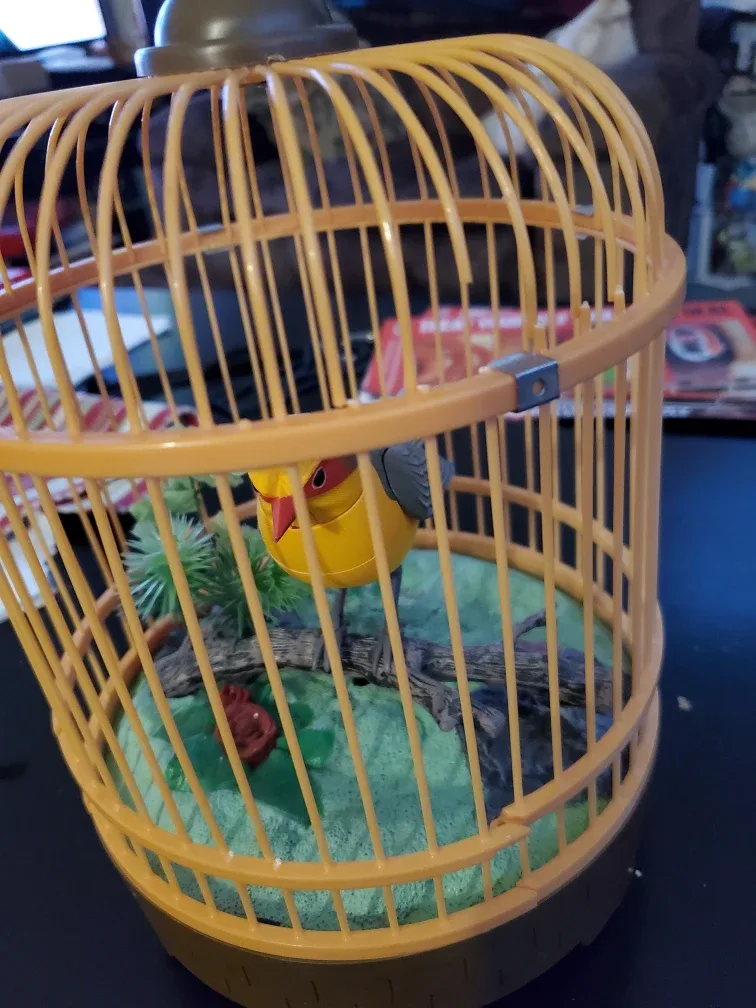 Decorative Bird Cage with Bird Figure
