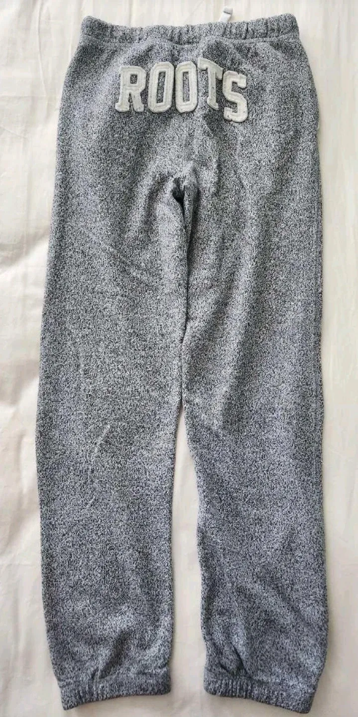 Roots Grey Sweatpants image indicator(2)