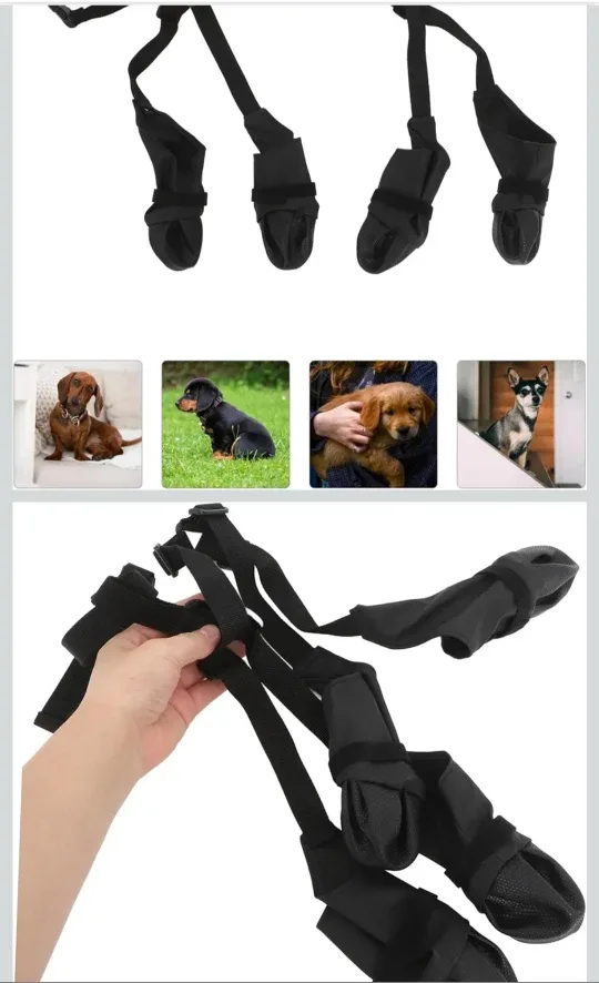 Dog Leggings - Size S - Black image indicator(7)