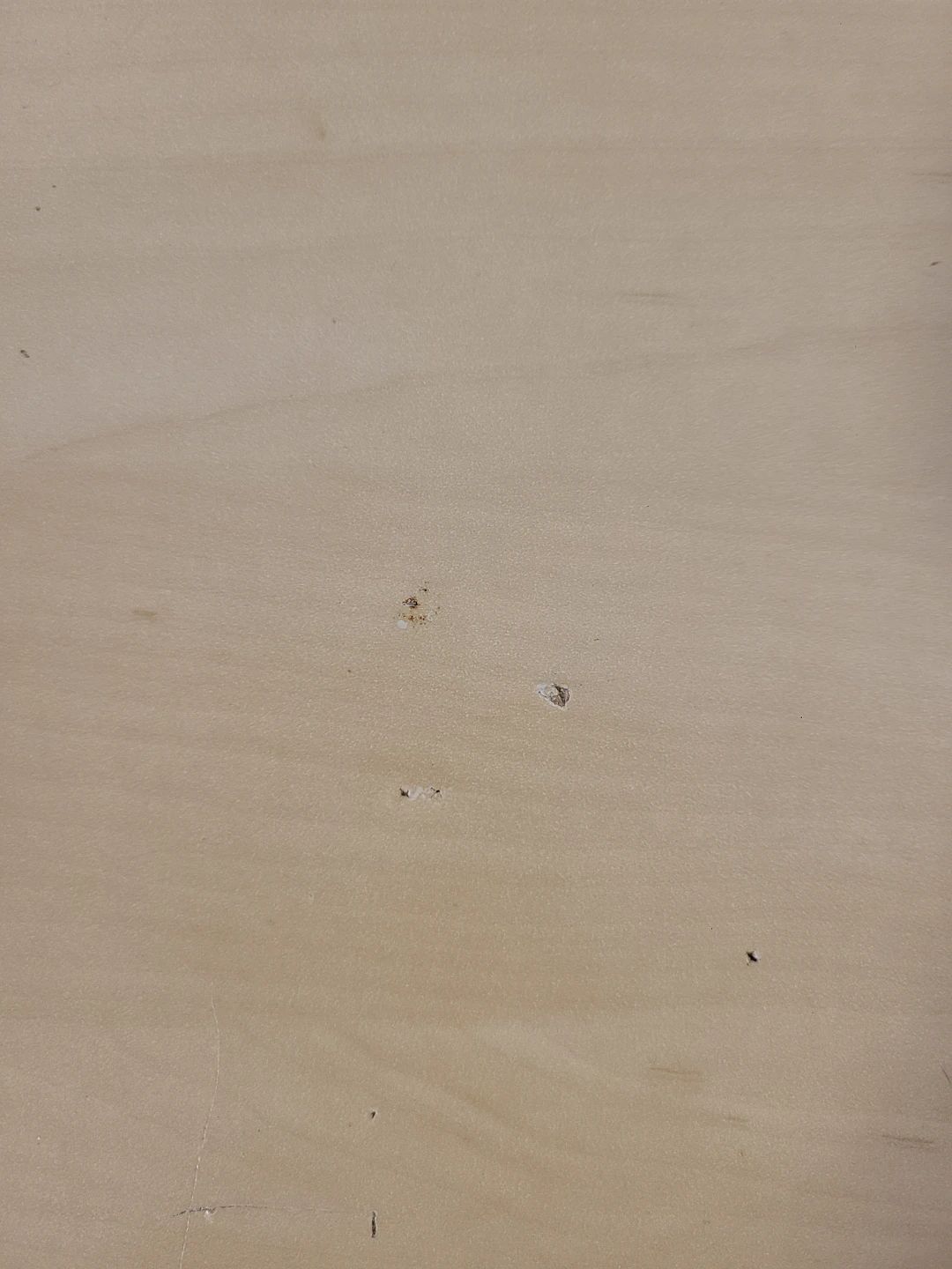 Small Wooden Computer Office Desk - photo 5