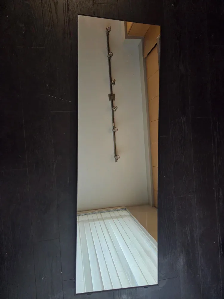 Mirror - standing or wall mount