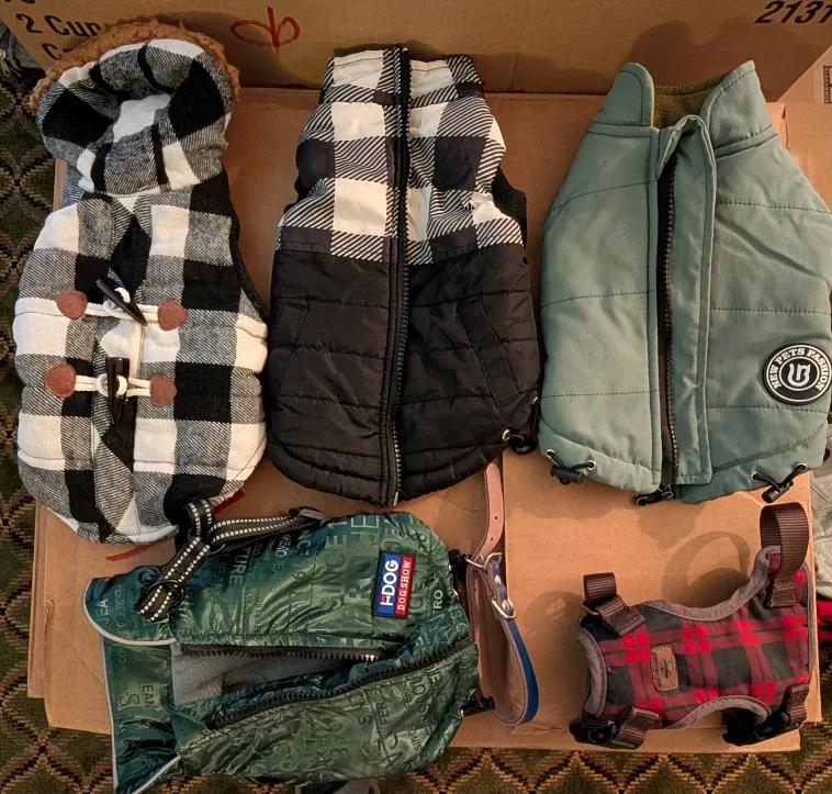 Dog Clothes Bundle - Variety of Styles & Sizes