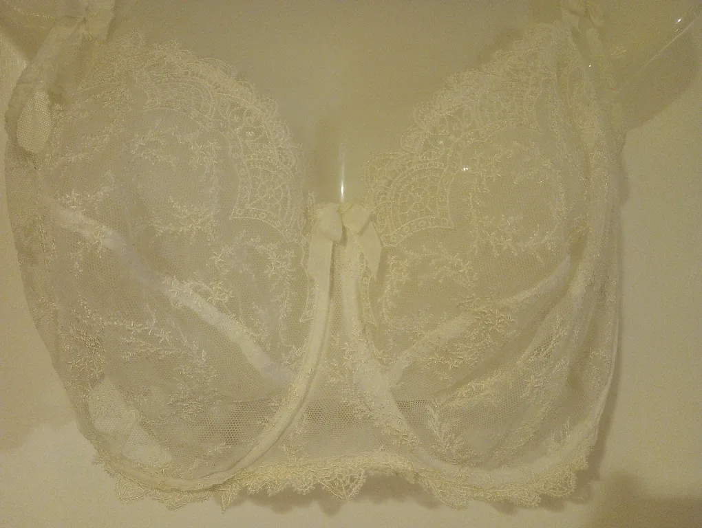 Worn Once Empreinte 36G White Lace Bra image indicator(2)