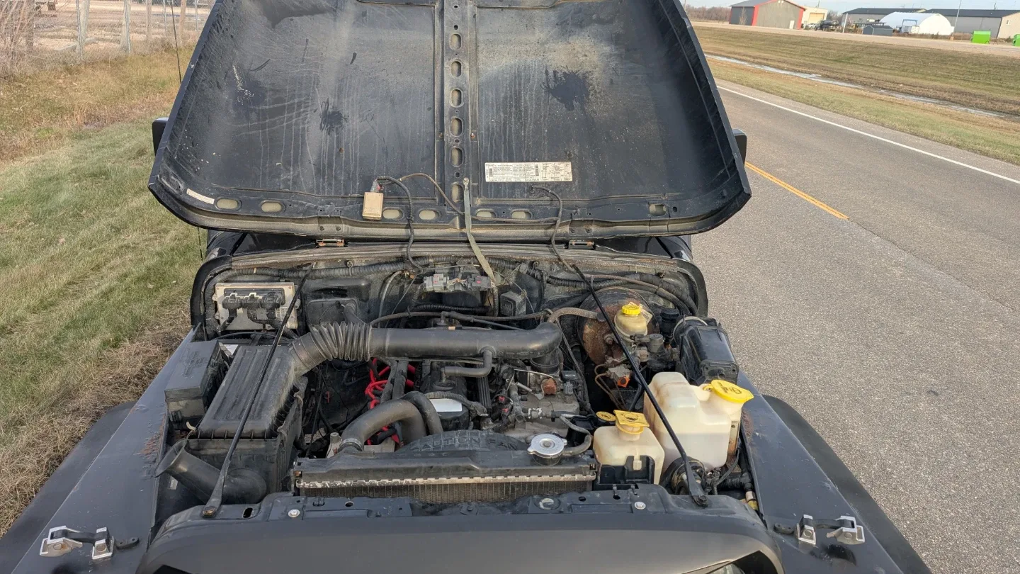 SAFETIED 1999 JEEP TJ image indicator(10)