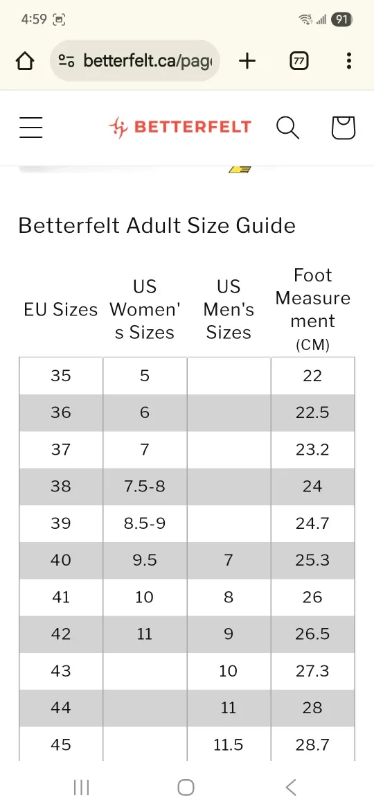 Betterfelt Classic Slippers - Steel Blue, Size 38 image indicator(4)