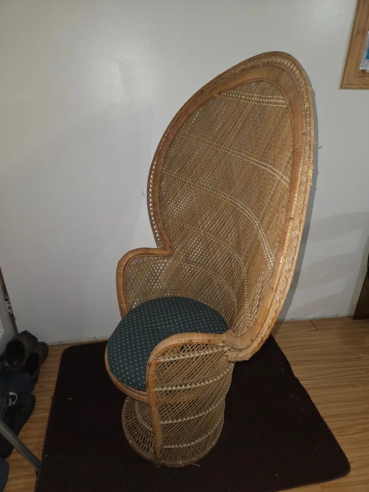 Wicker Peacock Chair image indicator(3)
