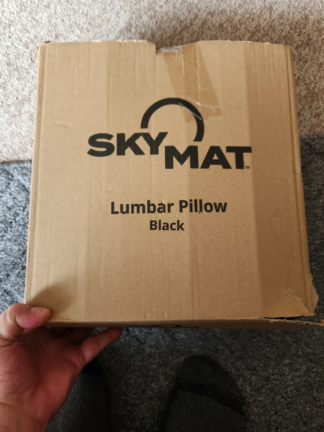 New Lumbar pillow image indicator(2)