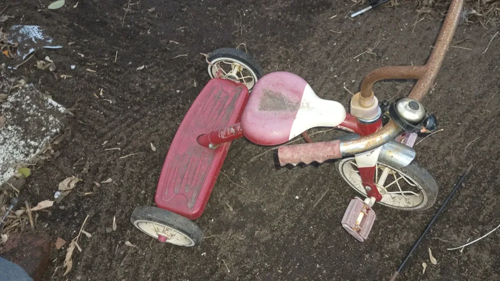 Radio Flyer Tricycle