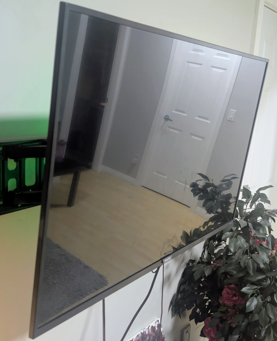 Philips Roku TV - photo 3