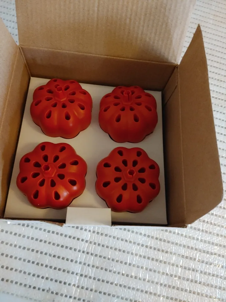 Fruit Fly Trap - 4 Pack