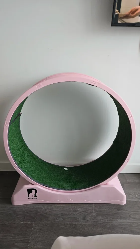 RYPetmia Cat Exercise Wheel Treadmill - Pink