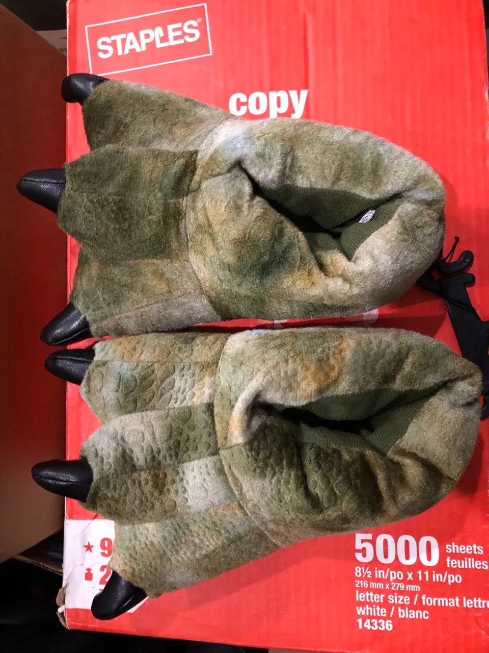 Dinosaur Claw Slippers kids Size 12/1