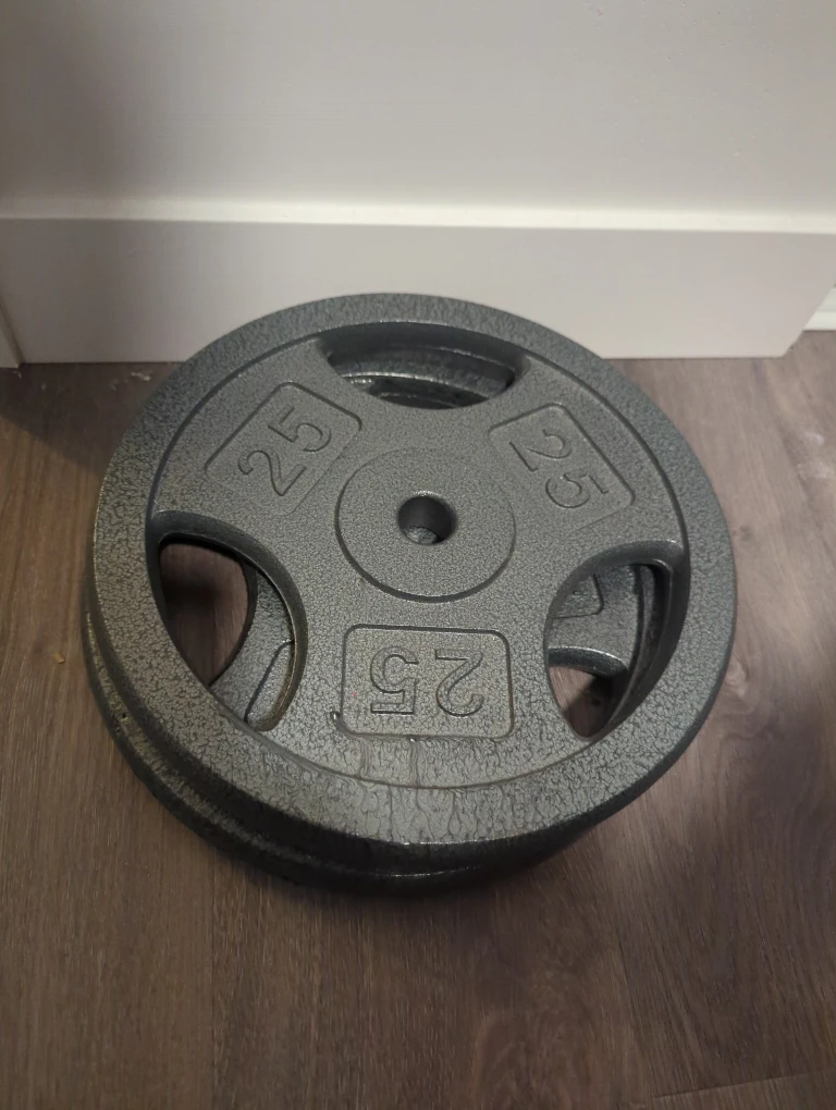 25 lb Weight Plates - Set of 2