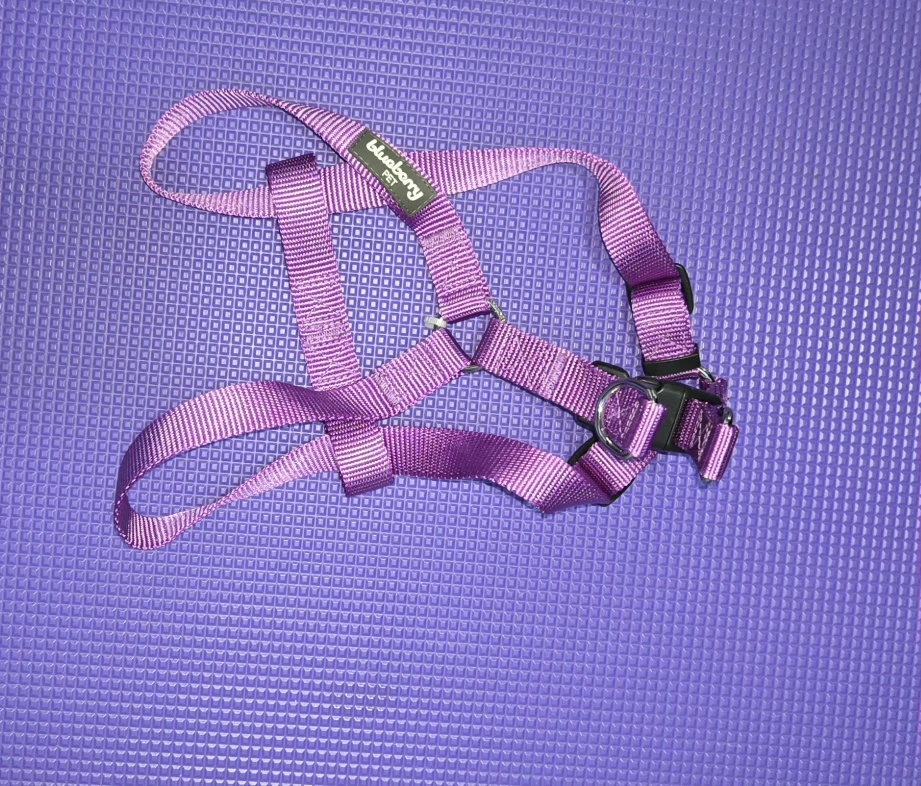 Blueberry Pet Purple Dog Harness, Size S - photo 5