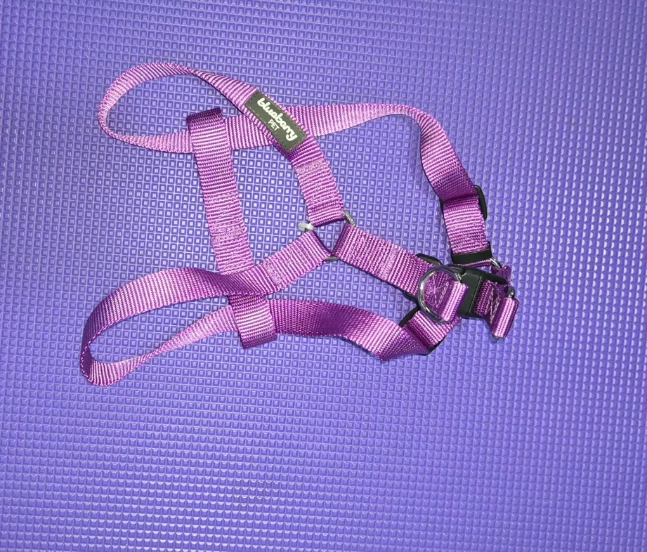 Blueberry Pet Purple Dog Harness, Size S image indicator(5)