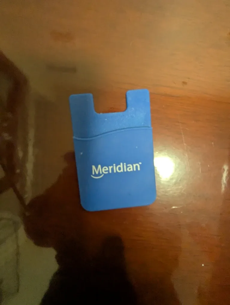 Meridian Blue Phone Wallet