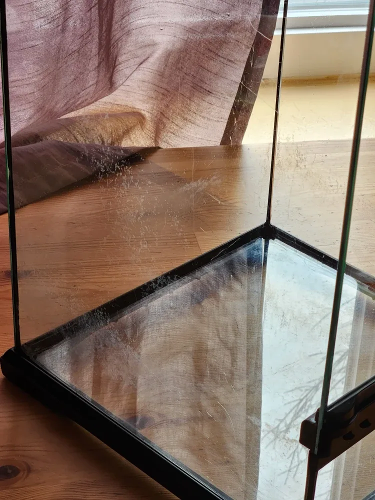 Exo Terra Glass Terrarium Mini Tall image indicator(9)