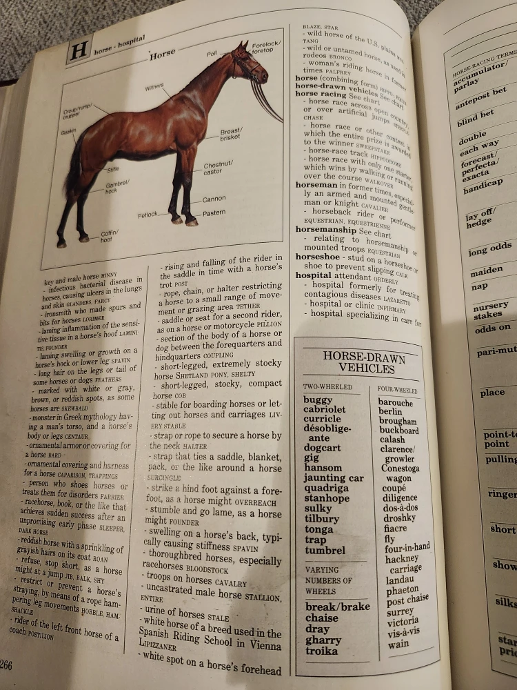 Reader's Digest Illustrated Reverse Dictionary - photo 4