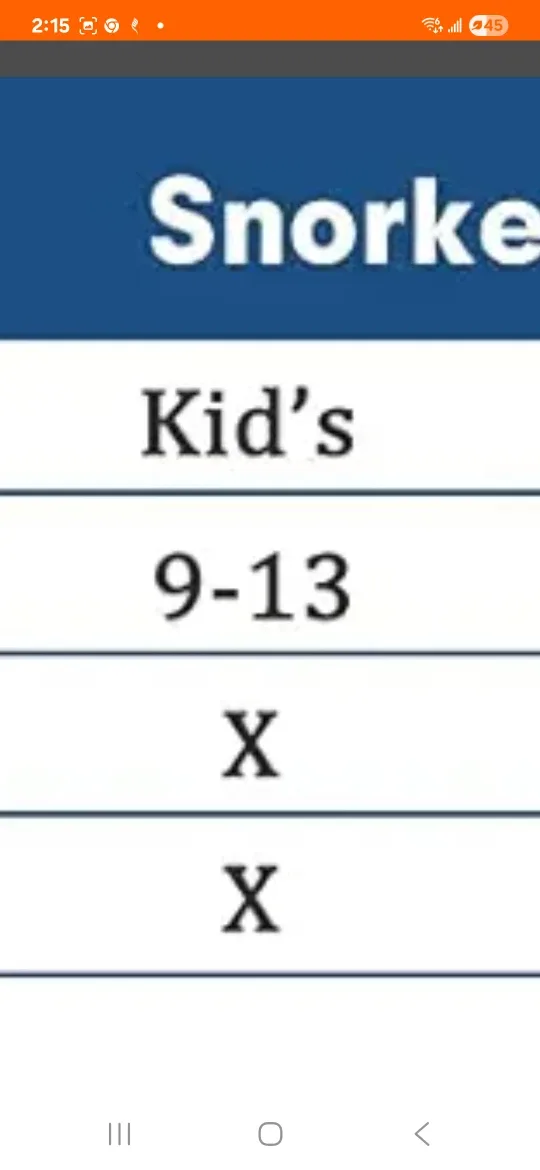 Snorkel Fins - Size S/M (Kids JR9-13) image indicator(5)