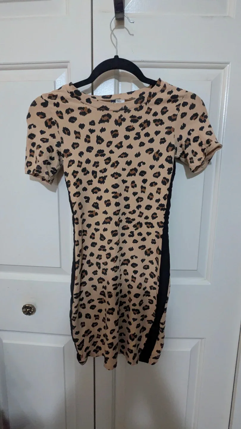 Leopard Print Mini Dress image indicator(2)