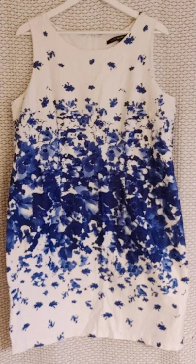 Floral Sleeveless Dress - White & Blue