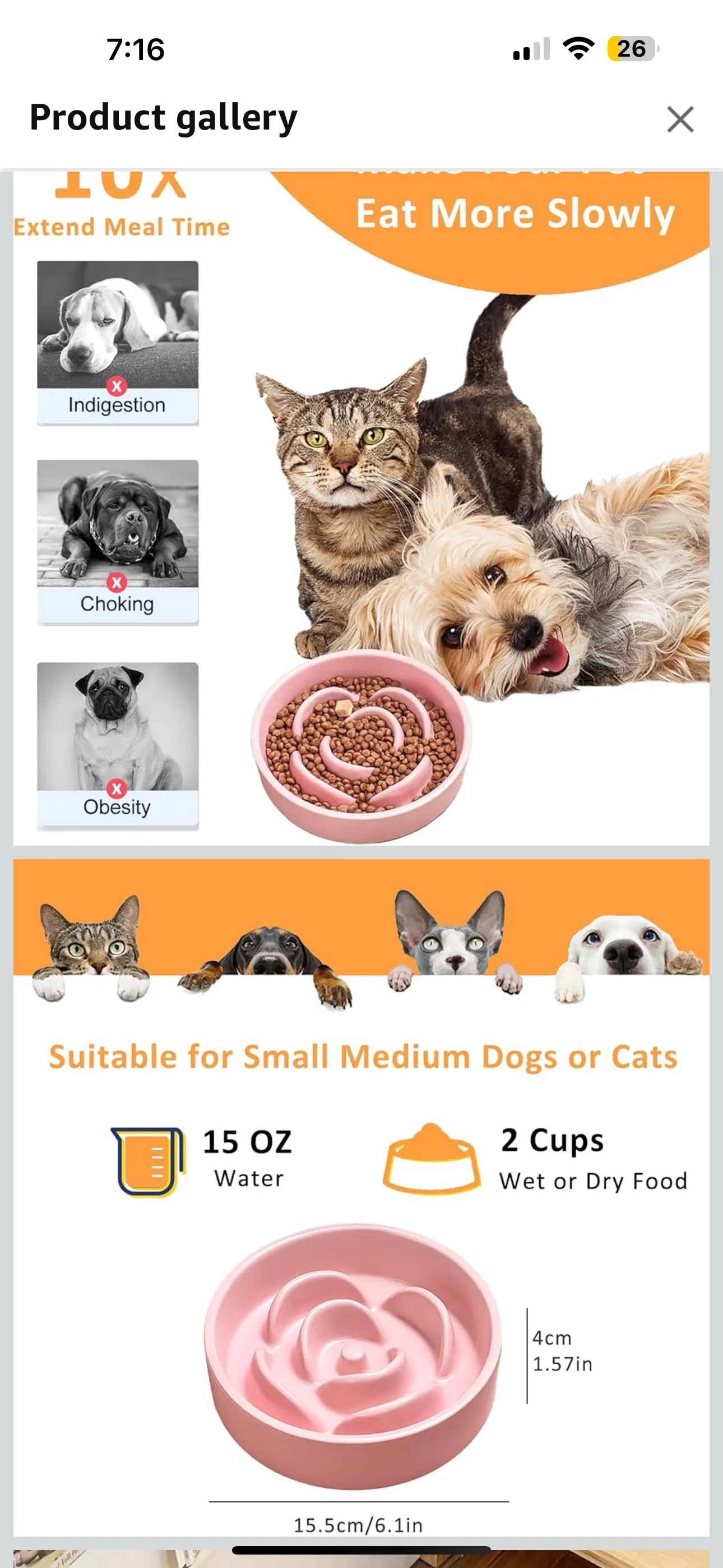 Slow feeder bowl for dogs