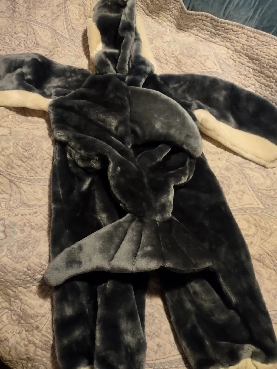 Dolphin costume image indicator(2)