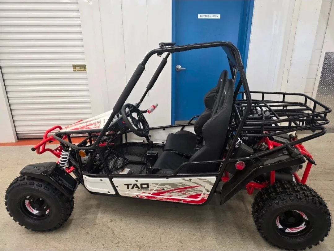 Tao Motor Baja 200 Go-Kart image indicator(2)