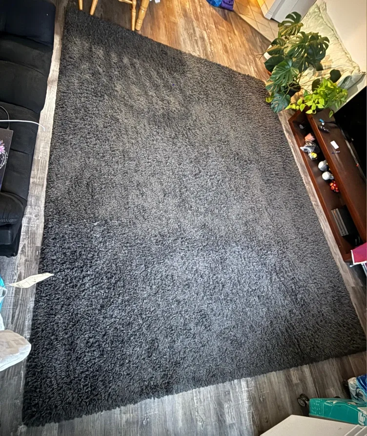 Grey living space Rug image indicator(3)