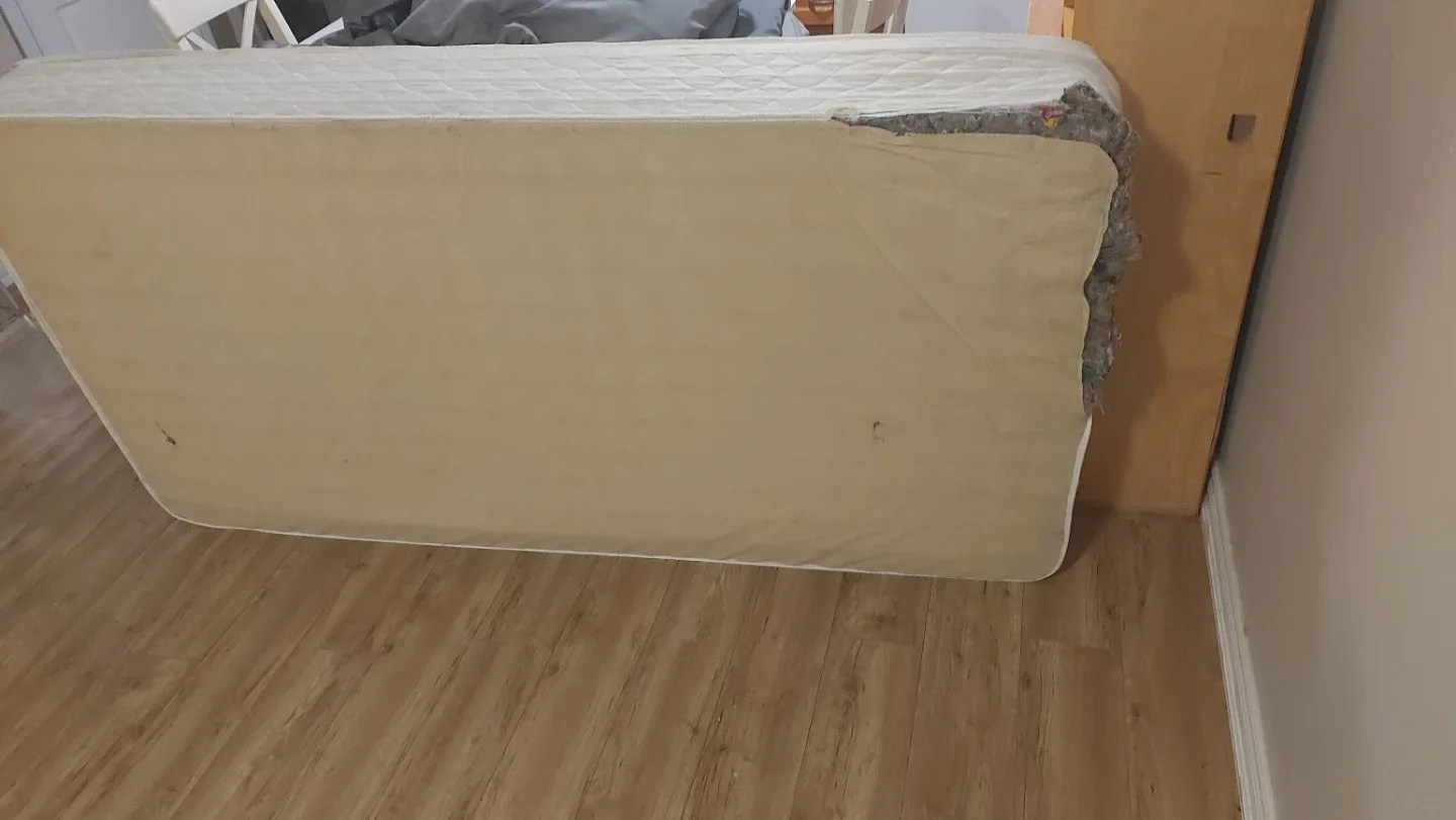 Sealy Royal Comfort Floral Mattress image indicator(4)