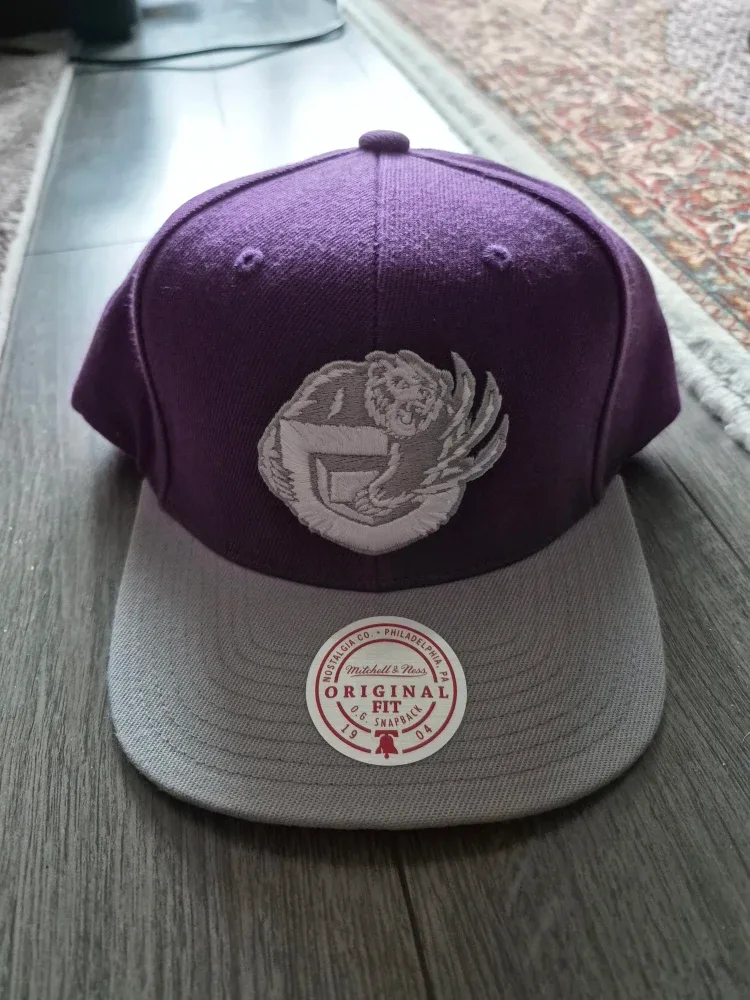 Grizzlies Snapback Hat