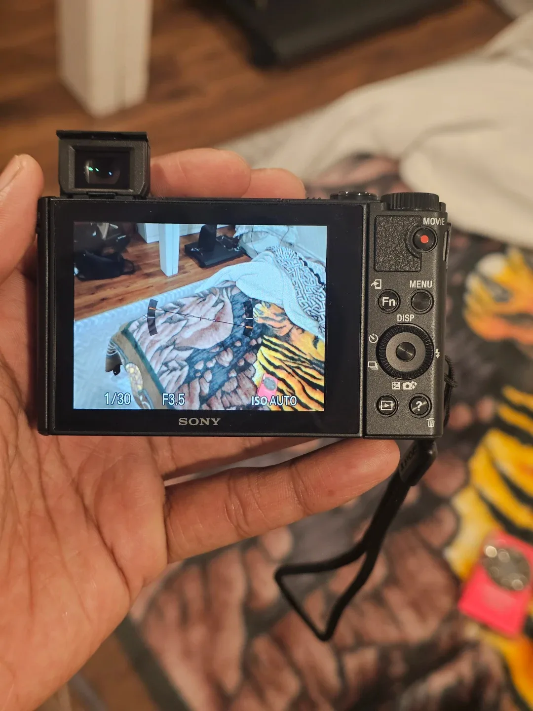 Sony Cyber-shot DSC-HX80 18.2 MP Digital Camera image indicator(3)