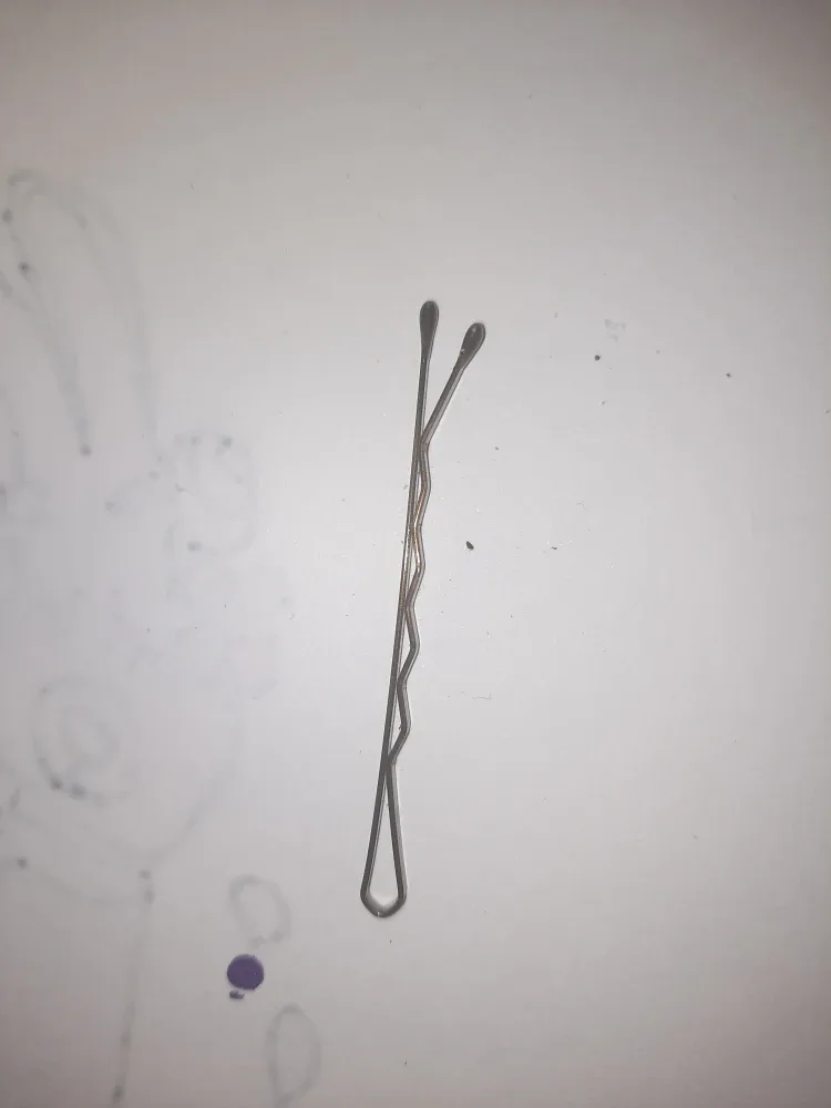 Hair bobby pins pick up only in st.albert