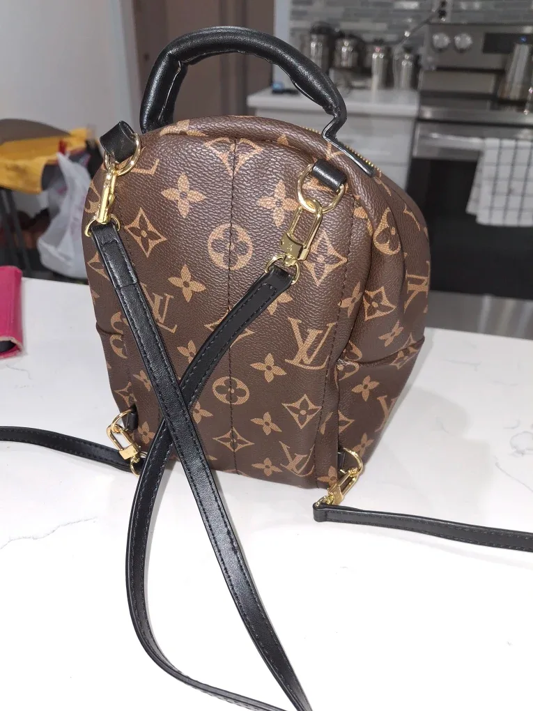 Louis Vuitton Palm Springs Mini Backpack image indicator(2)