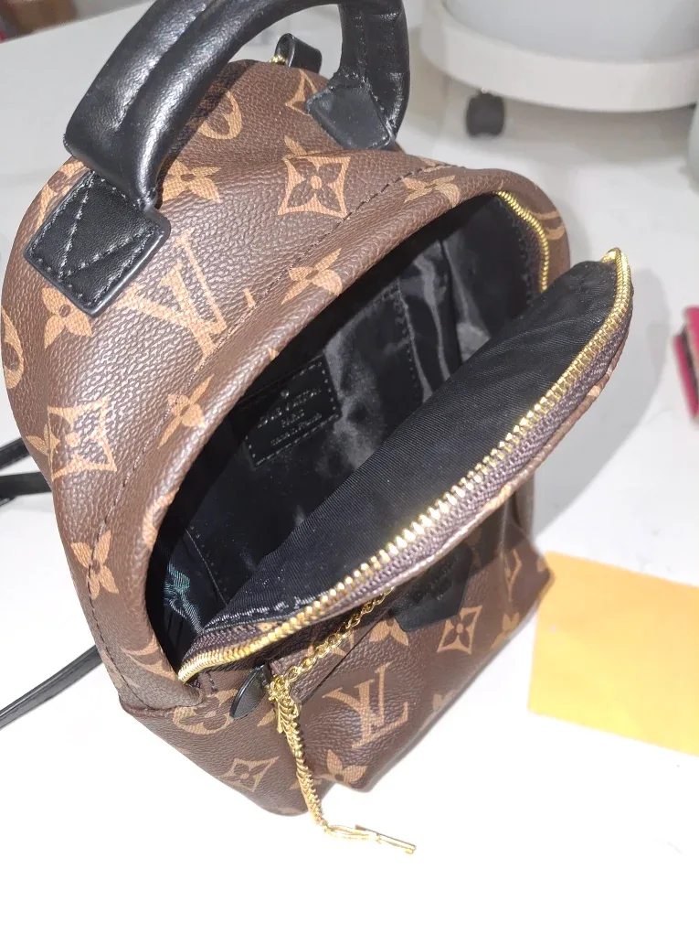 Louis Vuitton Palm Springs Mini Backpack image indicator(3)
