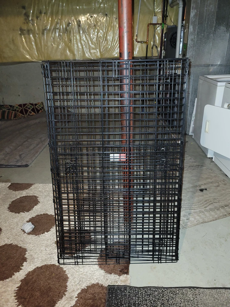 Midwest 1648DD Dog Crate - 48.82 x 31.11 x 32.29 in - photo 2