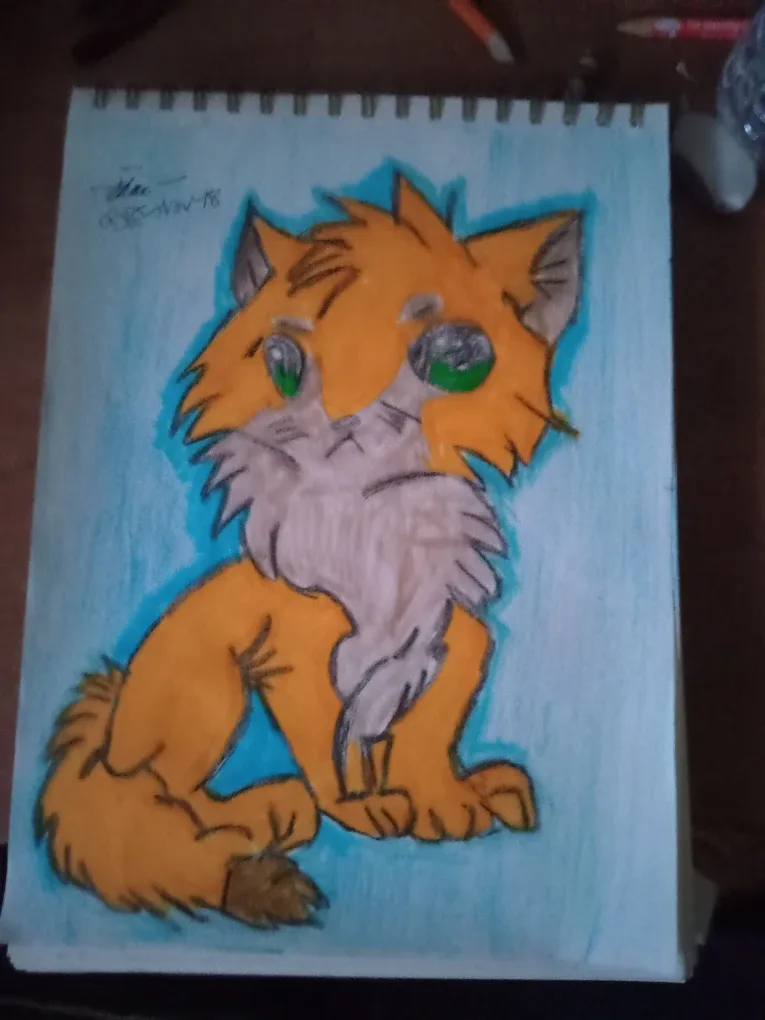 Animated Drawing Illustration by Custom Artist Sherwin image indicator(2)