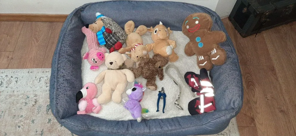Dog Bed - Plush Toys & Nail Clippers