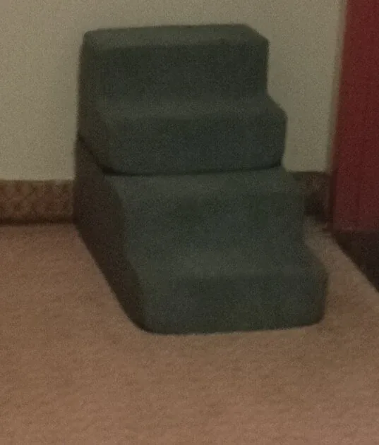 Dog/Cat Steps