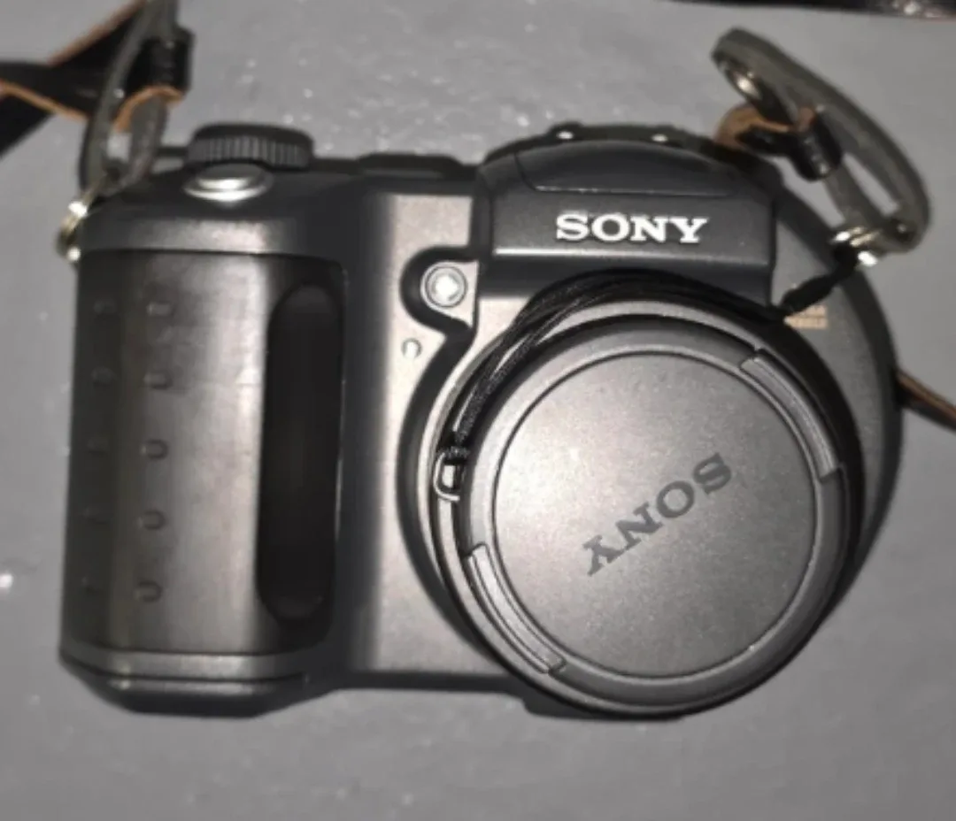 Sony Mavica MVC-CD500 image indicator(2)