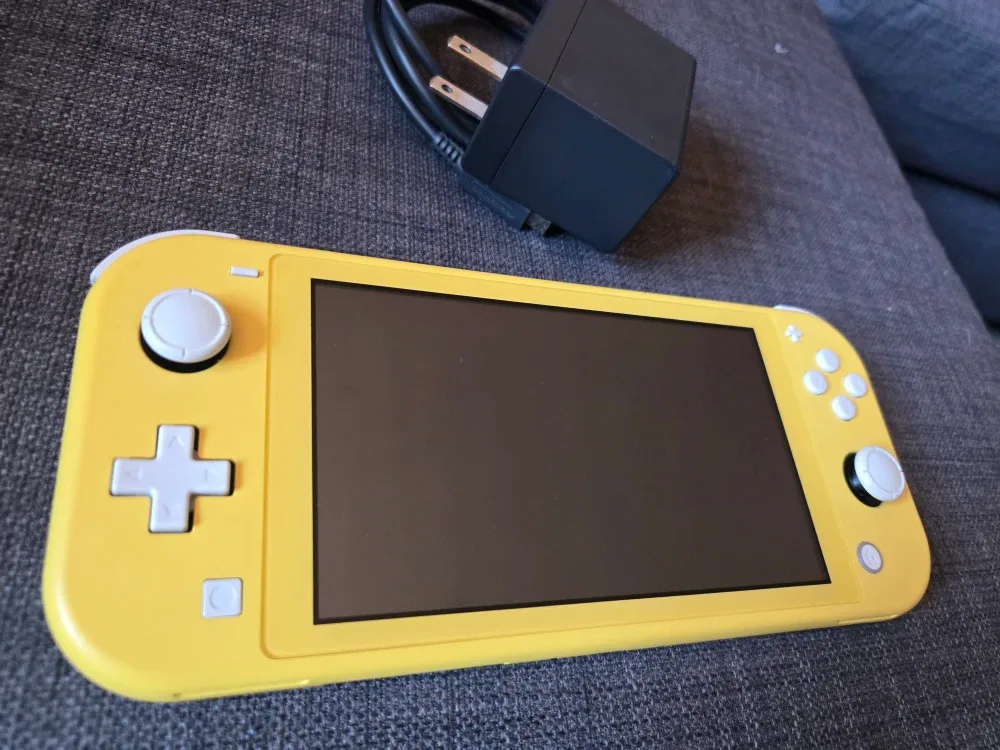 Nintendo Switch Lite image indicator(5)
