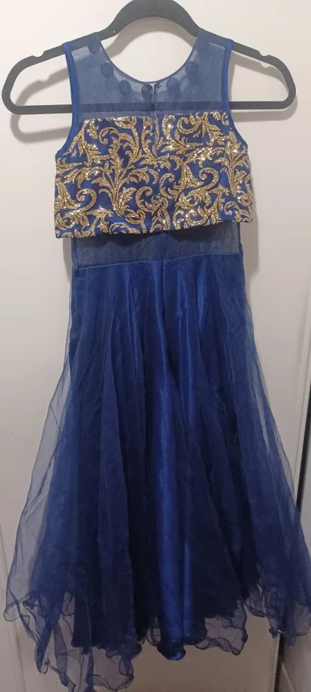 Blue & Gold Dress image indicator(2)