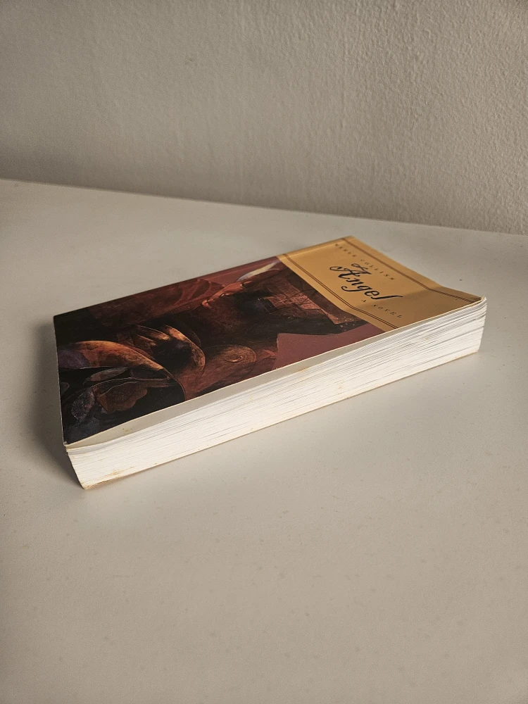 Angel novel by Merle Collins - photo 4