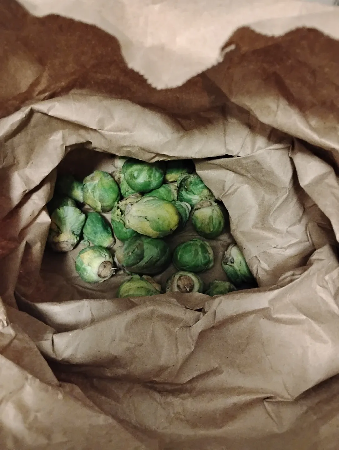 FOOD BUNDLE image indicator(4)