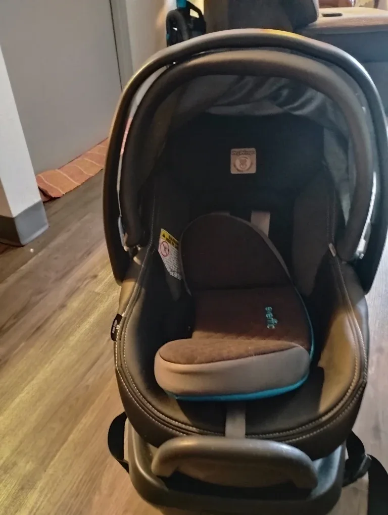 Peg Perego Primo Viaggio Infant Car Seat