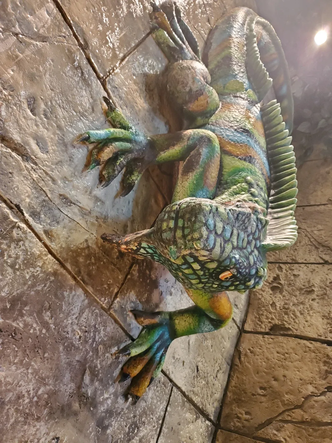 $30.00 / Night Boarding - We are here, and always will be.... ♾️ image indicator(3)