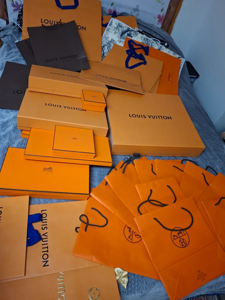 Luxury Brand Shopping Bags: LV, Hermes, Louboutin image indicator(4)